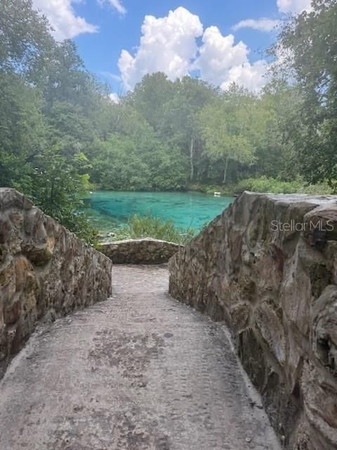 На продажу: $146,000 (12.23 acres)