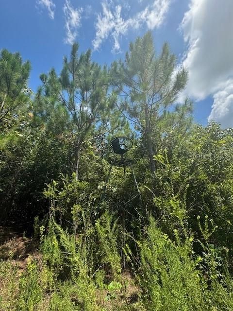 На продажу: $146,000 (12.23 acres)