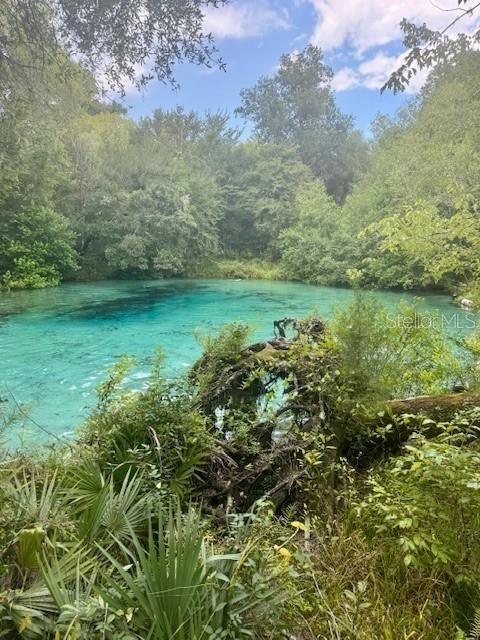 На продажу: $146,000 (12.23 acres)