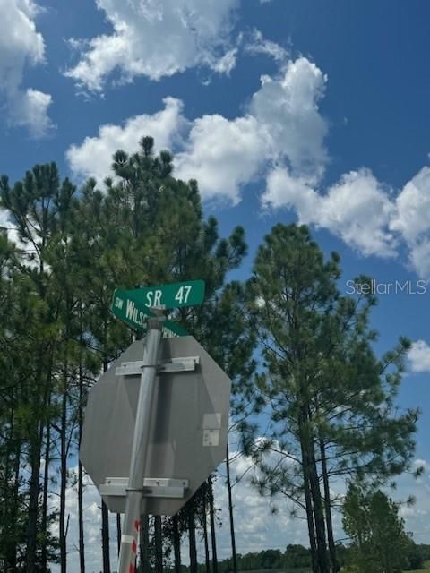 На продажу: $146,000 (12.23 acres)