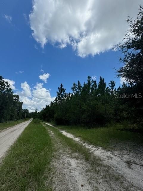 На продажу: $146,000 (12.23 acres)