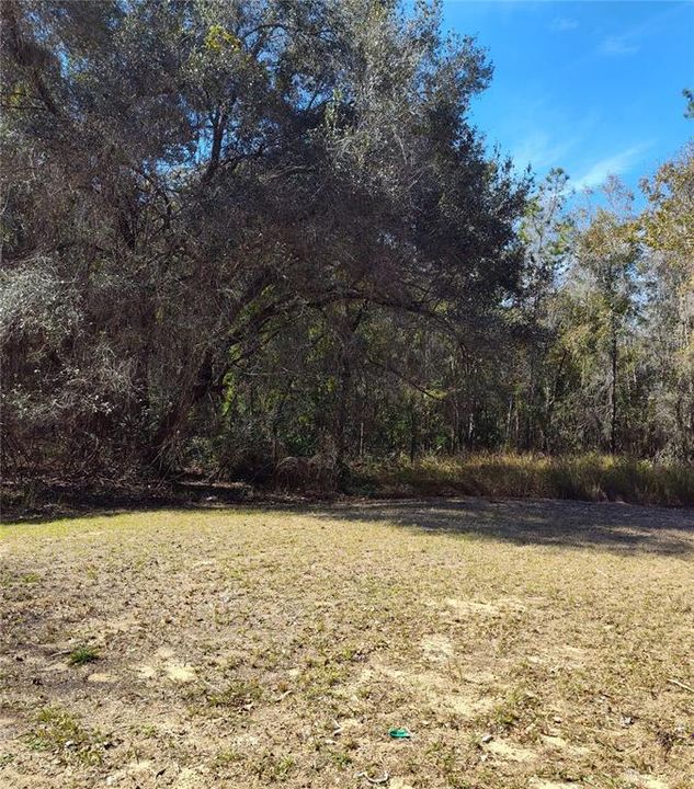 For Sale: $299,000 (6 beds, 2 baths, 2041 Square Feet)