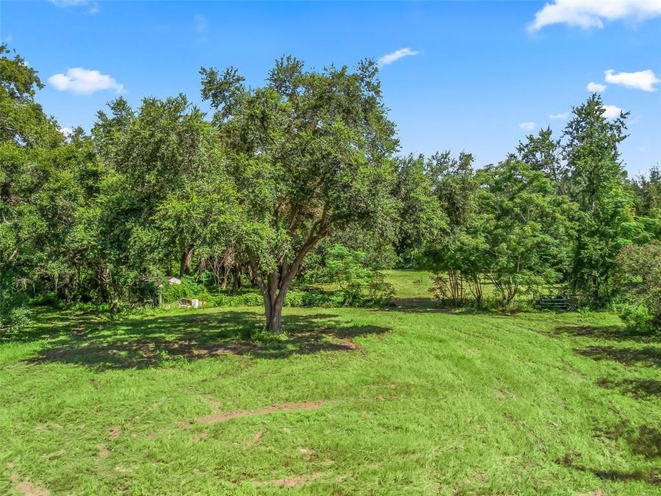 合同活跃: $169,900 (3.00 acres)