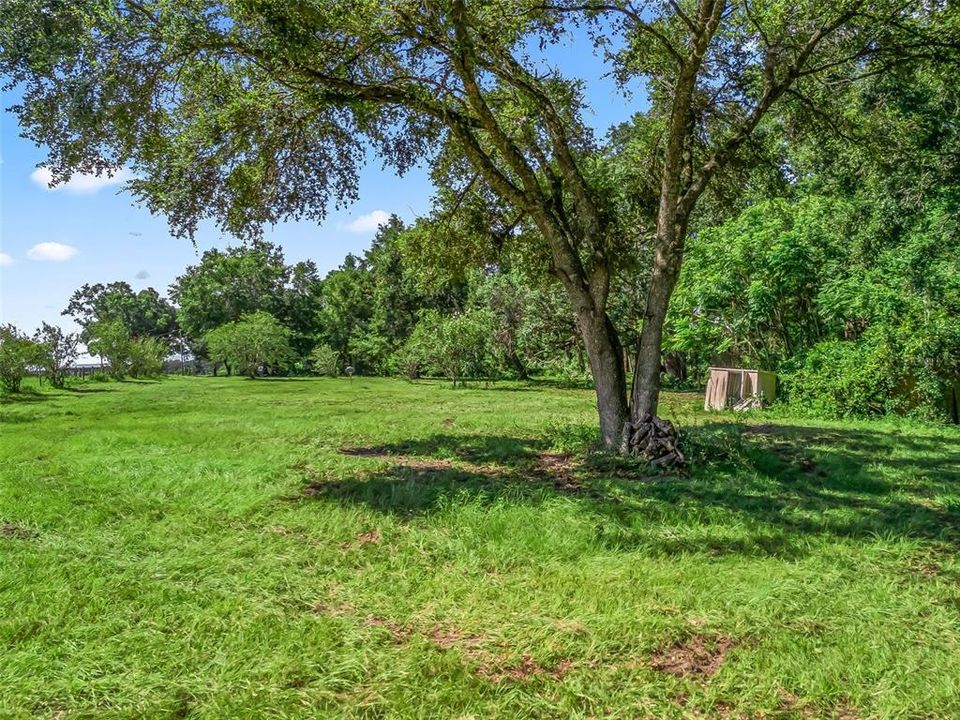 合同活跃: $169,900 (3.00 acres)