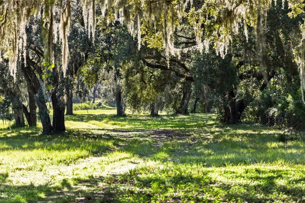 En Venta: $1,875,000 (3 camas, 2 baños, 1600 Pies cuadrados)