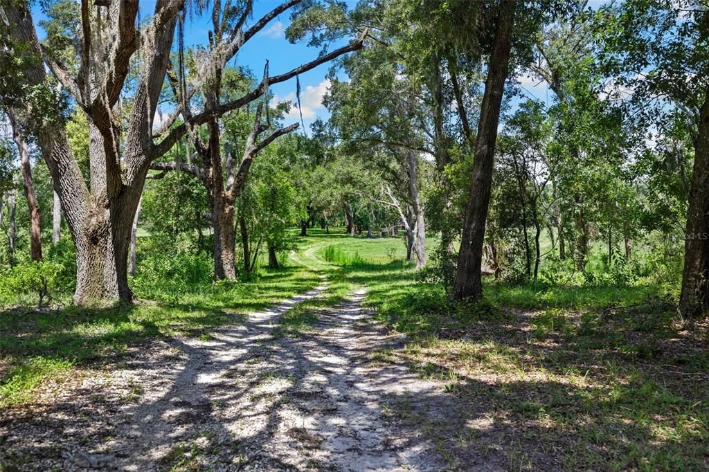 En Venta: $1,875,000 (3 camas, 2 baños, 1600 Pies cuadrados)