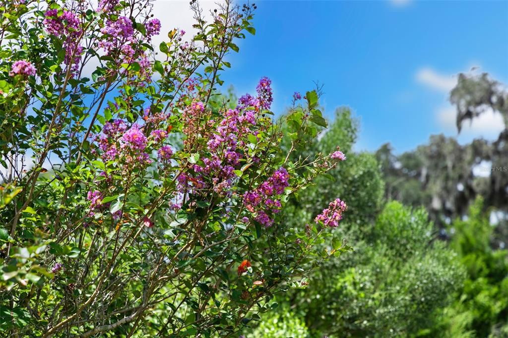 En Venta: $1,875,000 (3 camas, 2 baños, 1600 Pies cuadrados)