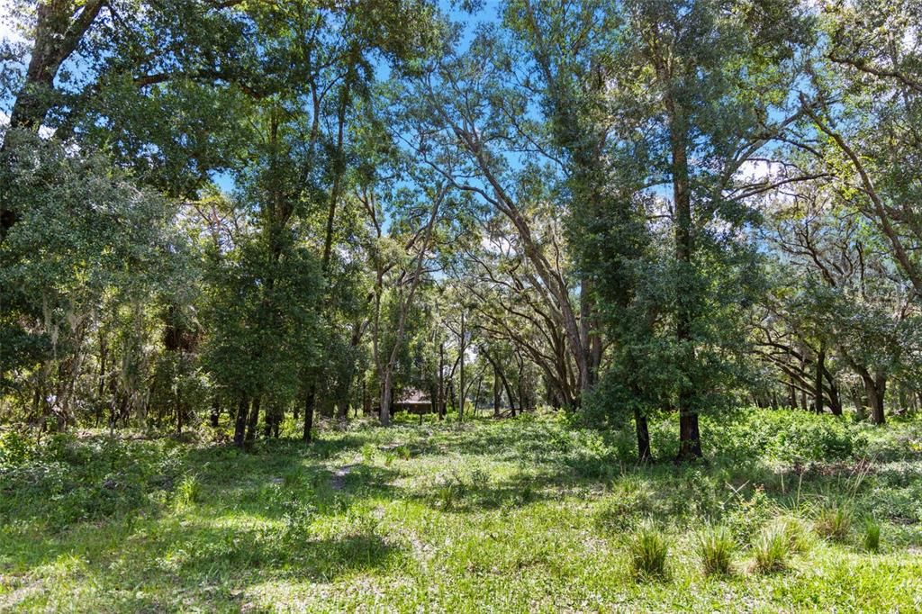 En Venta: $1,875,000 (3 camas, 2 baños, 1600 Pies cuadrados)