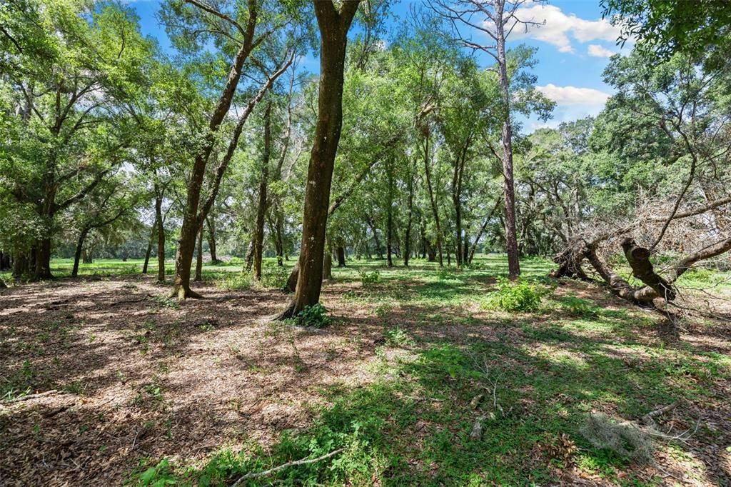 En Venta: $1,875,000 (3 camas, 2 baños, 1600 Pies cuadrados)