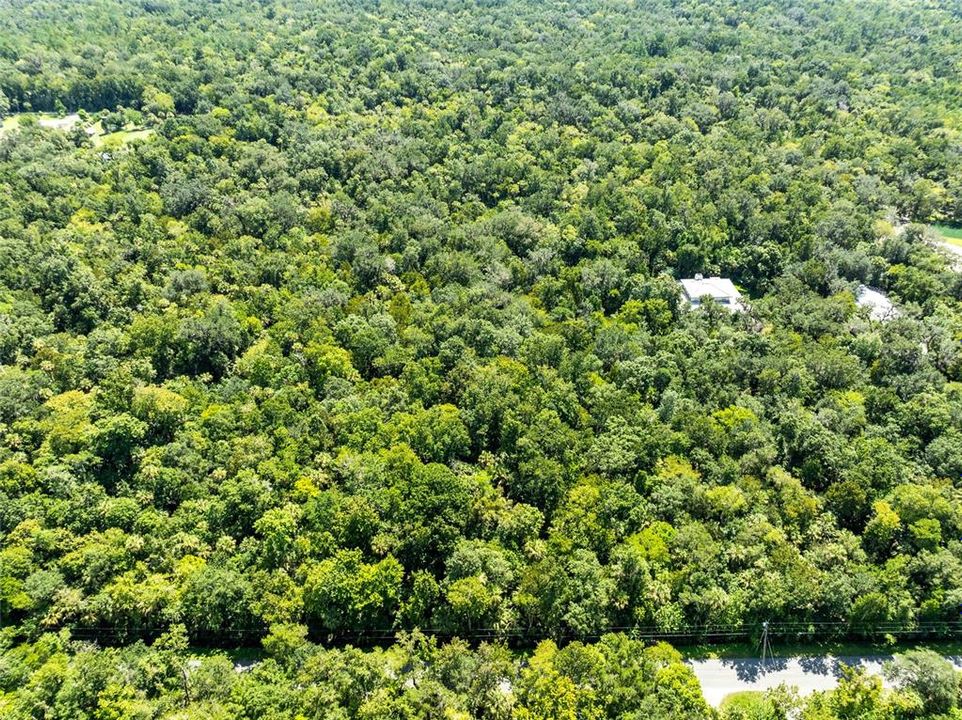 Active With Contract: $175,000 (9.56 acres)