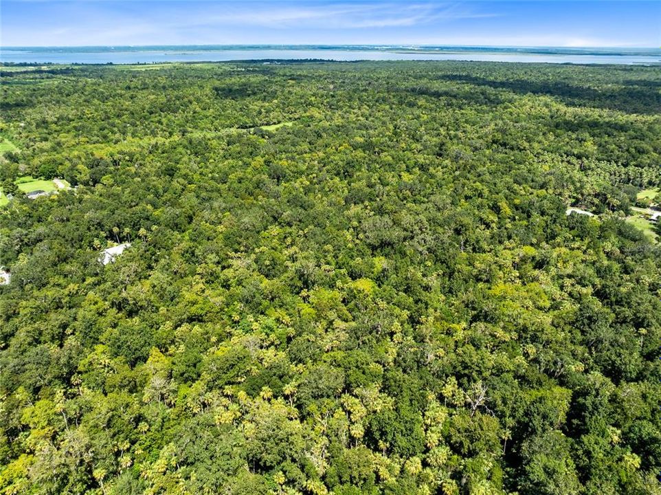 Active With Contract: $175,000 (9.56 acres)