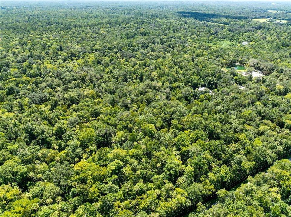 Active With Contract: $175,000 (9.56 acres)