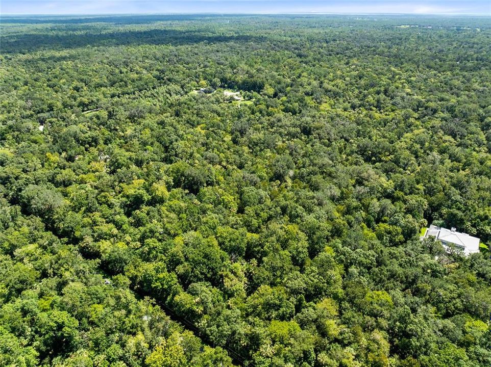 Active With Contract: $175,000 (9.56 acres)