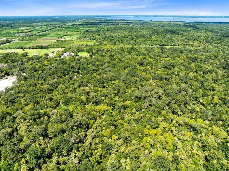 Active With Contract: $175,000 (9.56 acres)