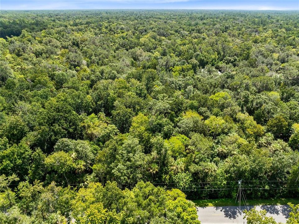 Active With Contract: $175,000 (9.56 acres)