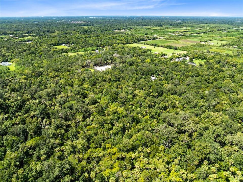 Active With Contract: $175,000 (9.56 acres)