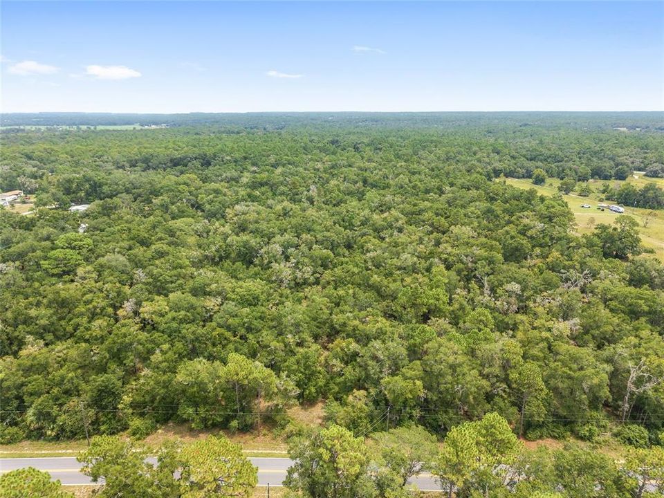 For Sale: $350,000 (19.51 acres)