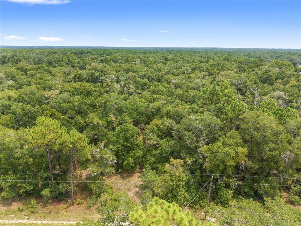 For Sale: $350,000 (19.51 acres)