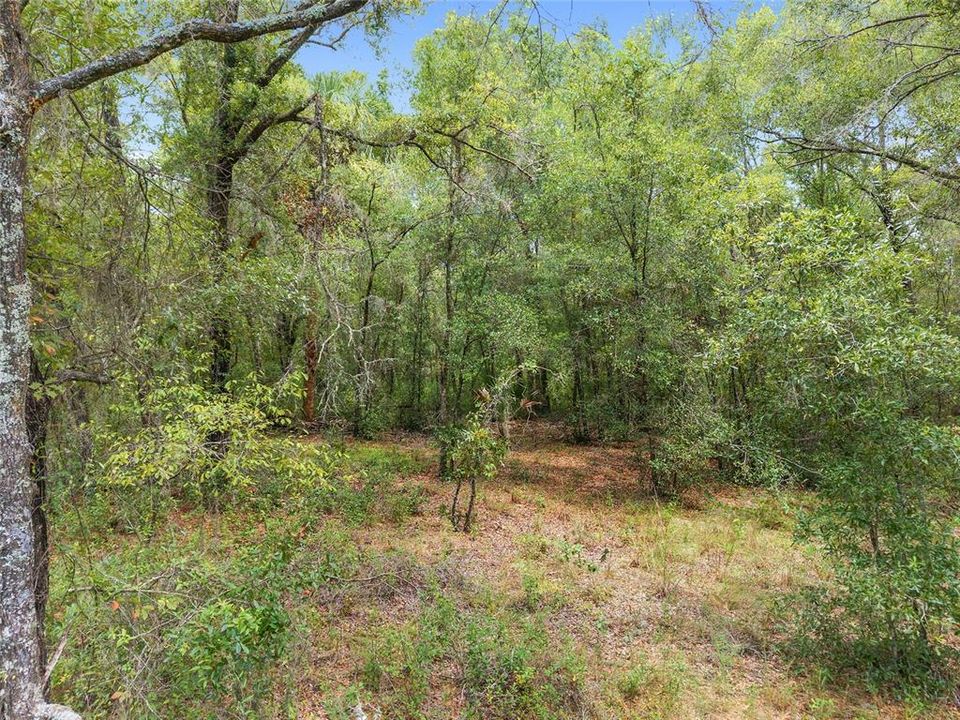 For Sale: $350,000 (19.51 acres)