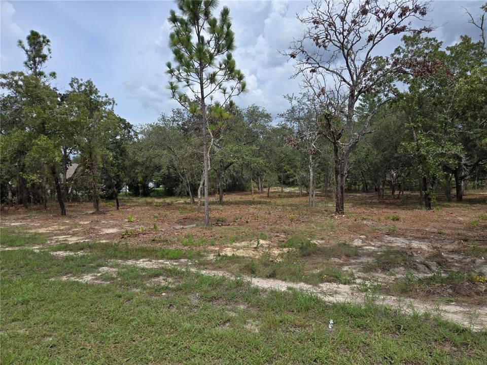 待售: $92,500 (1.16 acres)