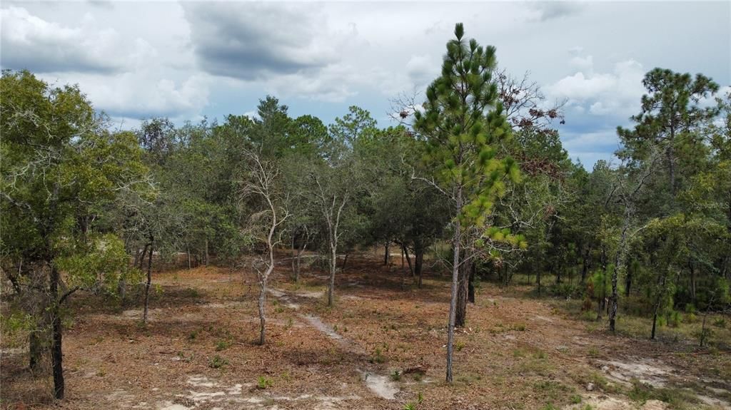 待售: $92,500 (1.16 acres)