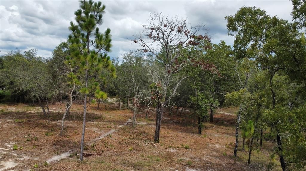 待售: $92,500 (1.16 acres)