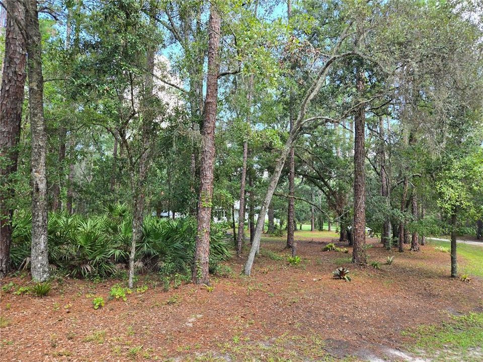 For Sale: $525,000 (3 beds, 2 baths, 2238 Square Feet)