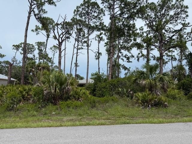 最近售出: $15,000 (0.23 acres)