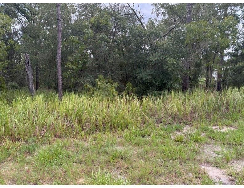 待售: $33,000 (0.23 acres)