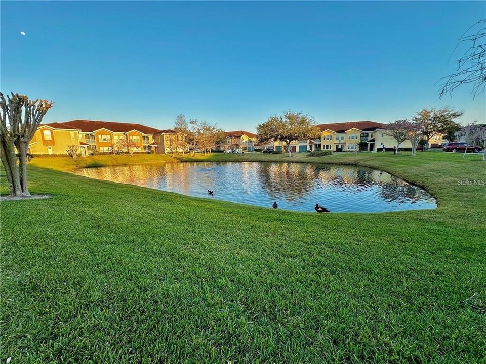 合同活跃: $1,850 (2 贝兹, 2 浴室, 1219 平方英尺)