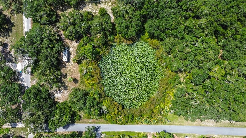 На продажу: $69,000 (2.01 acres)