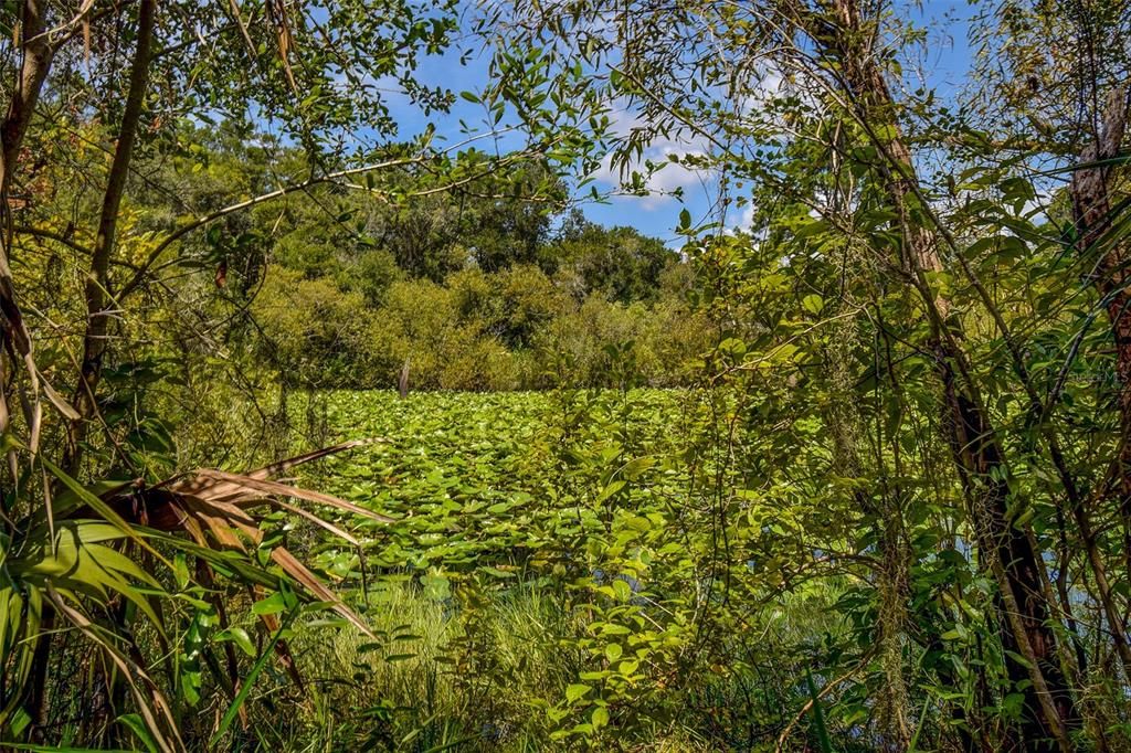 На продажу: $69,000 (2.01 acres)