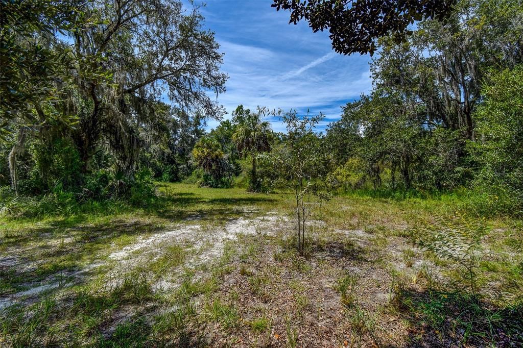 На продажу: $69,000 (2.01 acres)