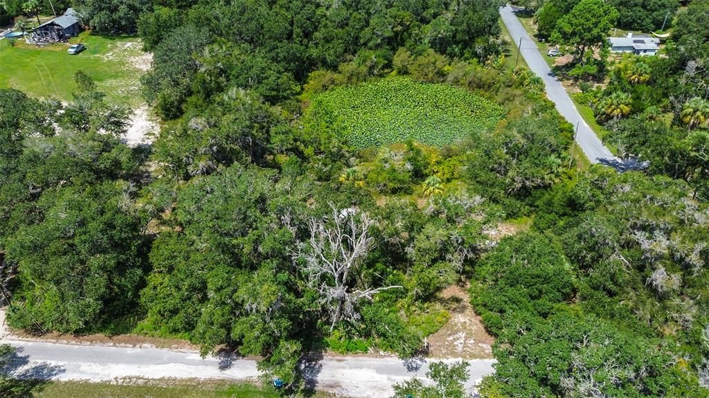 На продажу: $69,000 (2.01 acres)