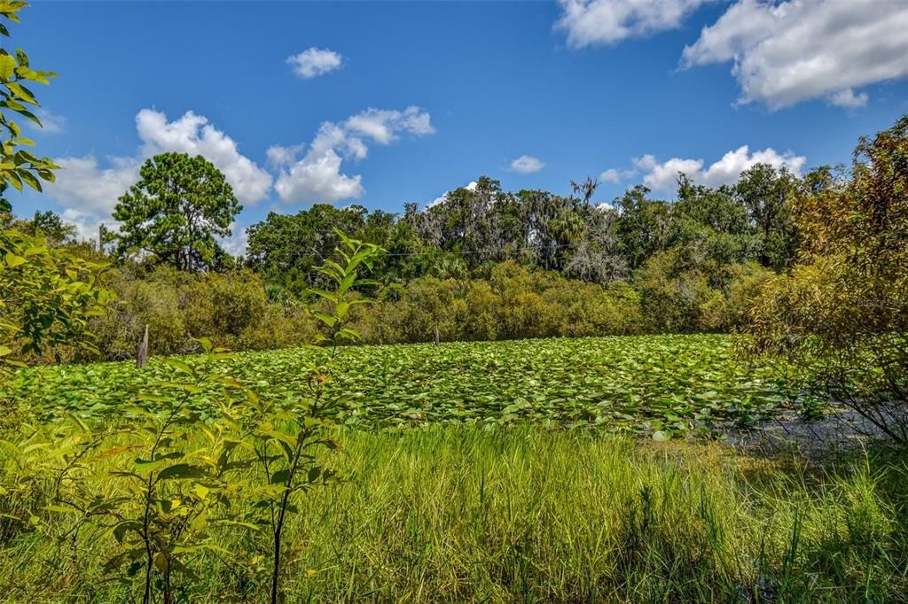 На продажу: $69,000 (2.01 acres)