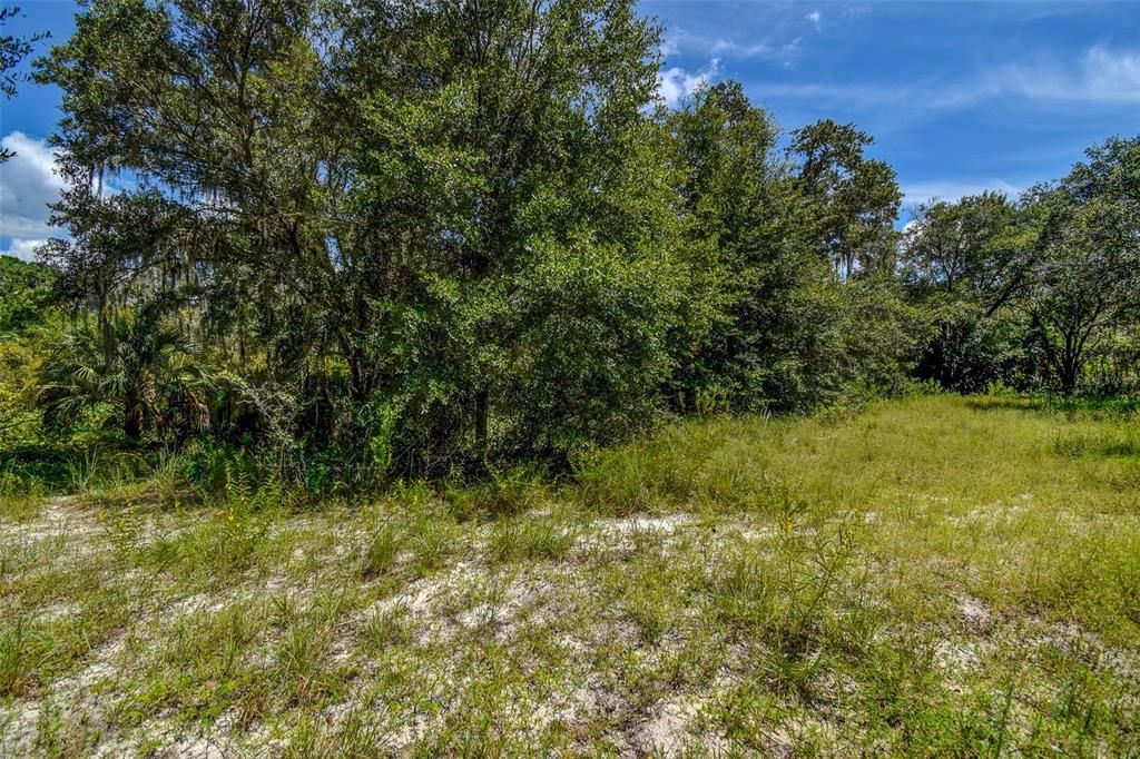 На продажу: $69,000 (2.01 acres)