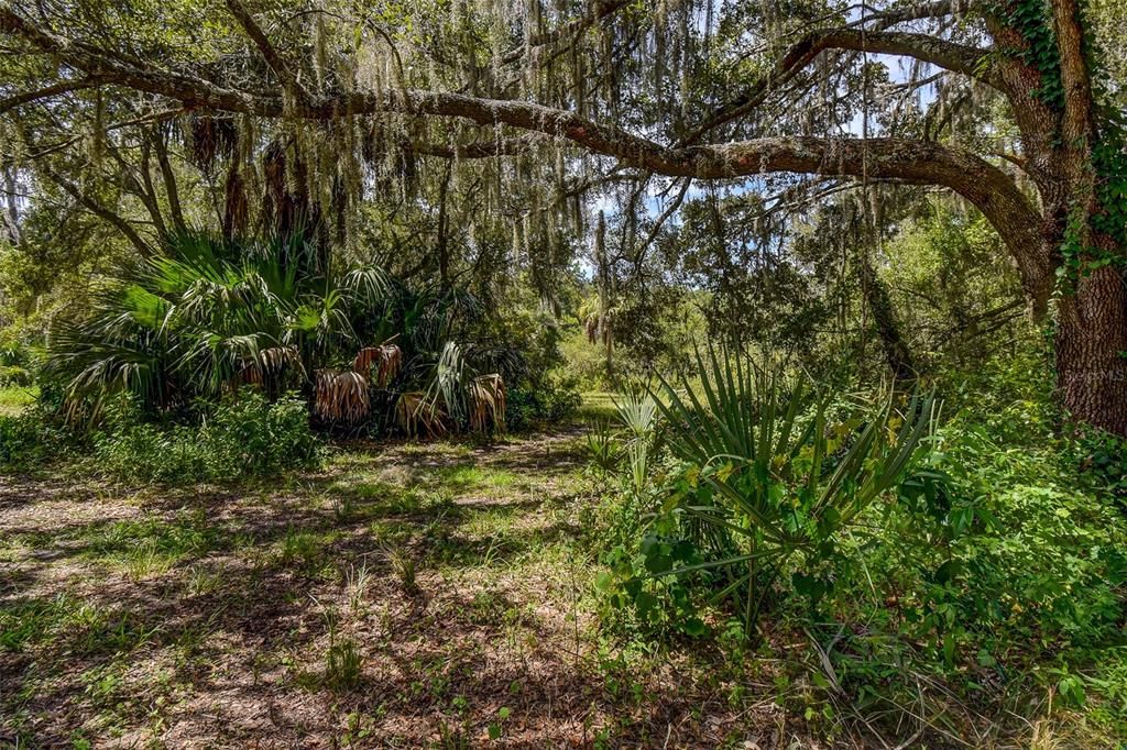 На продажу: $69,000 (2.01 acres)