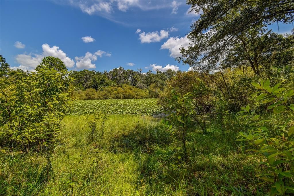 На продажу: $69,000 (2.01 acres)