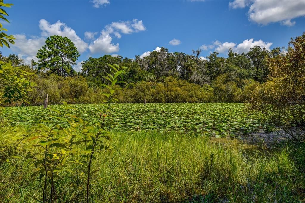 На продажу: $69,000 (2.01 acres)