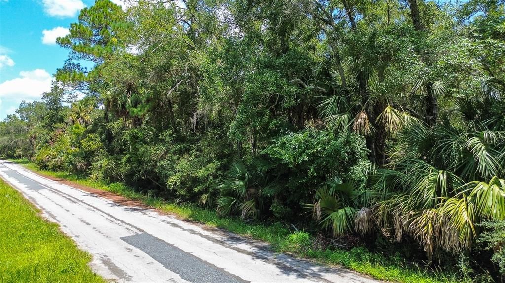 For Sale: $29,000 (1.05 acres)