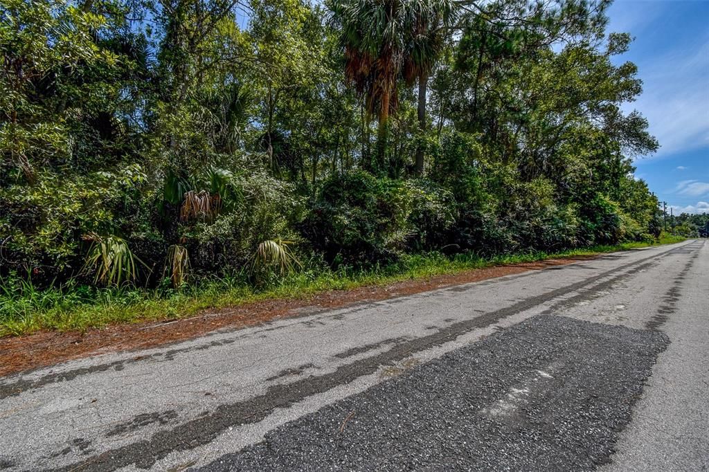 For Sale: $29,000 (1.05 acres)