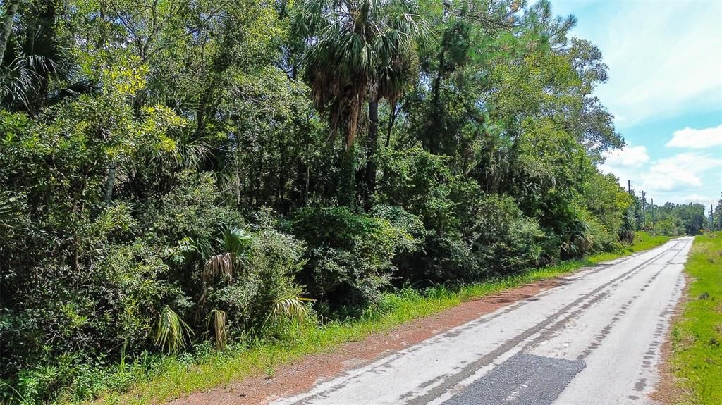 For Sale: $29,000 (1.05 acres)