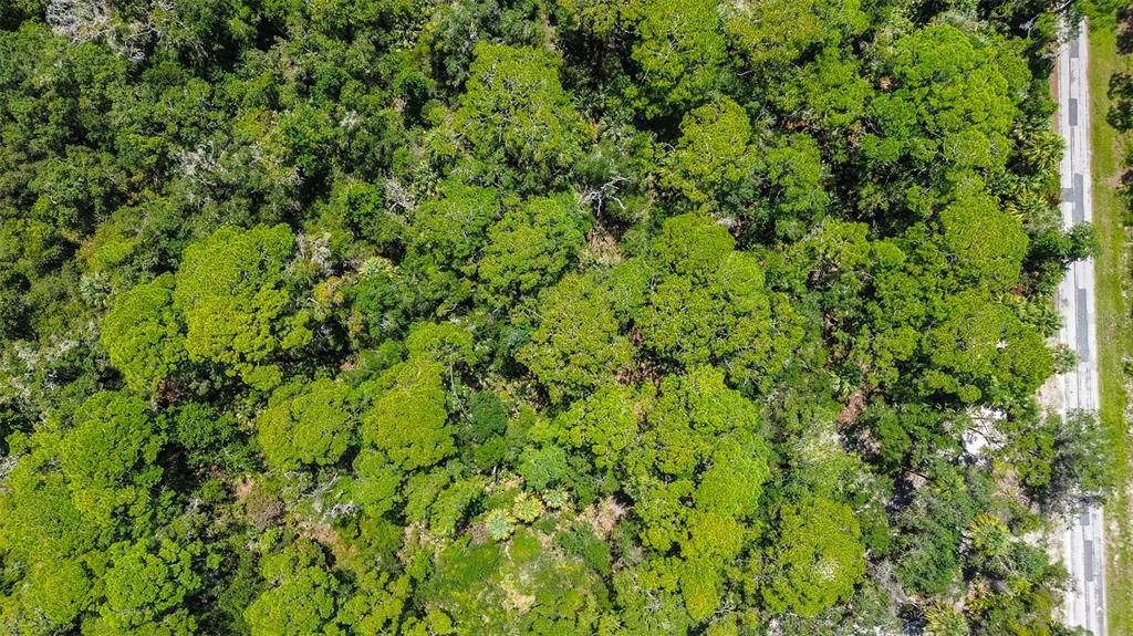 For Sale: $29,000 (1.05 acres)