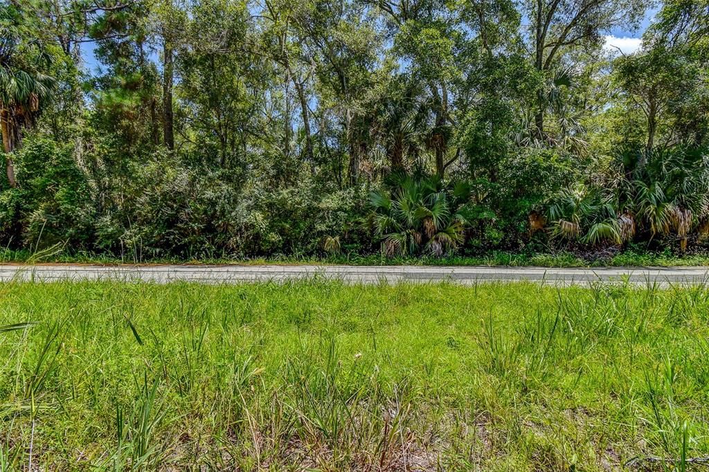 For Sale: $29,000 (1.05 acres)