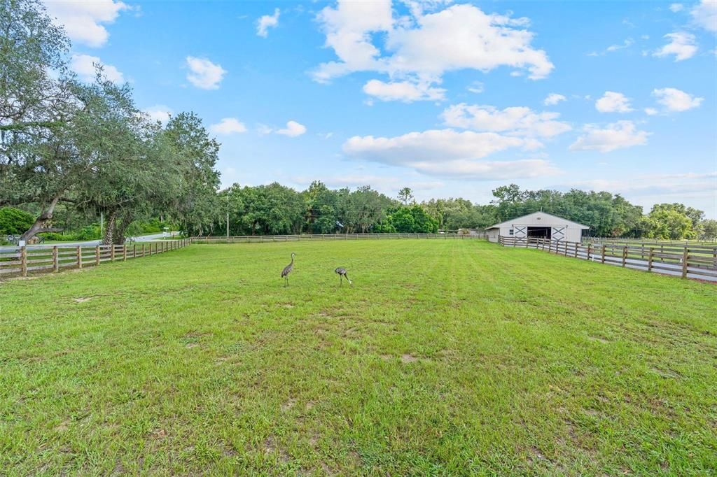 For Sale: $515,000 (3 beds, 2 baths, 1296 Square Feet)