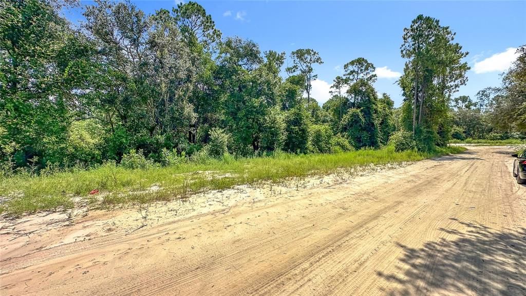 For Sale: $15,000 (0.29 acres)