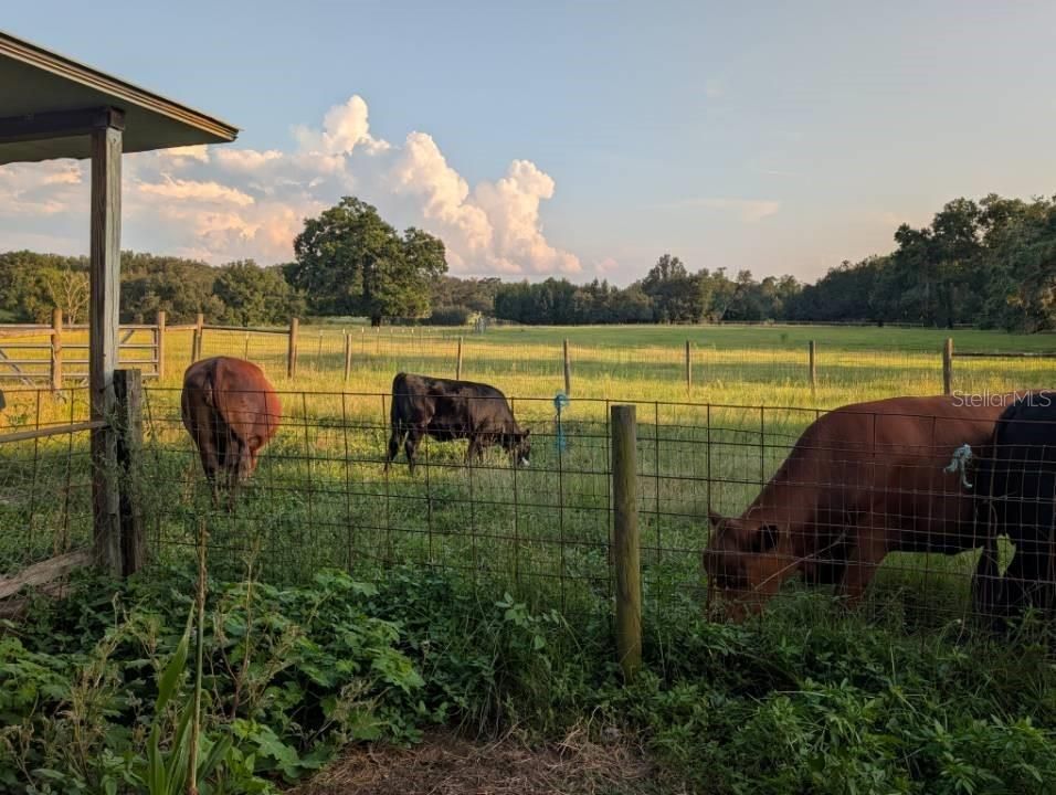 En Venta: $2,500,000 (4 camas, 5 baños, 3588 Pies cuadrados)