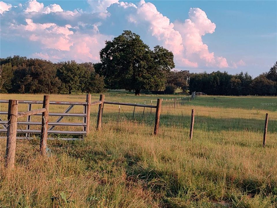 En Venta: $2,500,000 (4 camas, 5 baños, 3588 Pies cuadrados)