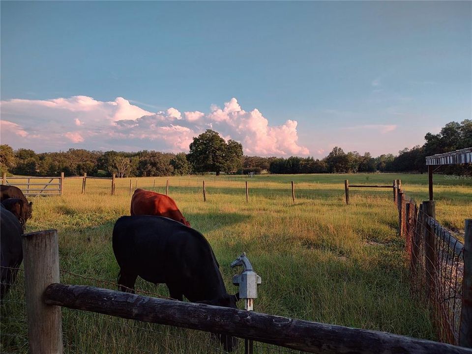 En Venta: $2,500,000 (4 camas, 5 baños, 3588 Pies cuadrados)