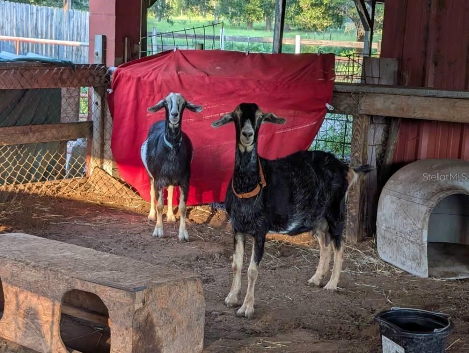 En Venta: $2,500,000 (4 camas, 5 baños, 3588 Pies cuadrados)